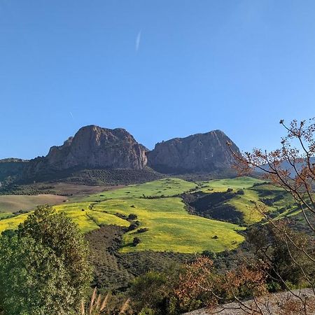 Cortijo Sylvestre Bed and Breakfast Ríogordo Exteriör bild